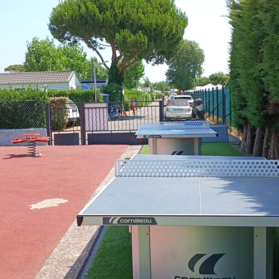 WhatsApp Image 2025-07-15 at 13.14.01